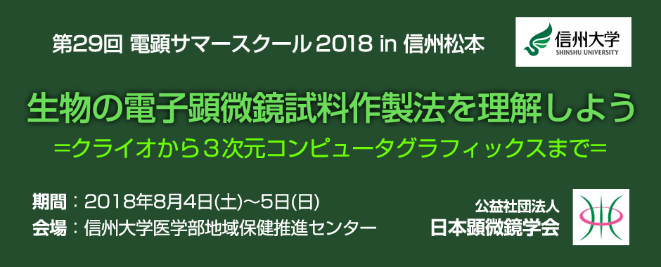 第29回電顕サマースクール2018